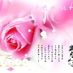 飛天钰虎