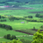 U1299205526