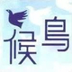 候鸟de天空