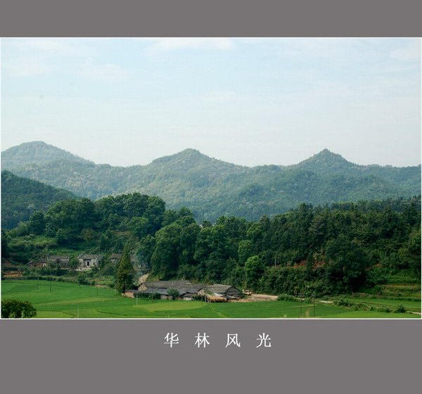 华林山属地行政管理单位是原高安市华林山镇,与国营华林山垦殖场合署