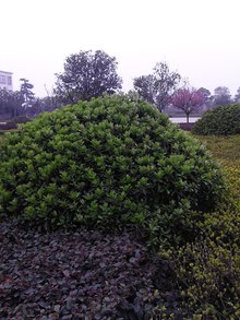 信阳市第二高级中学