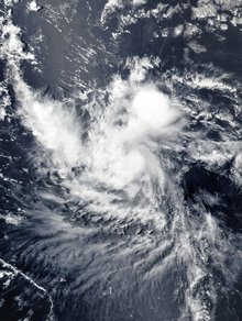 2017年大西洋飓风季