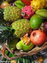热带,亚热带果树栽培与水果保鲜