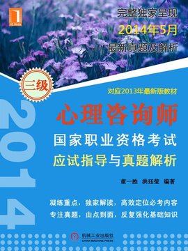 三级心理咨询师国家职业资格考试应试指导与真