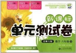 新课标单元测试卷:数学6年级下册