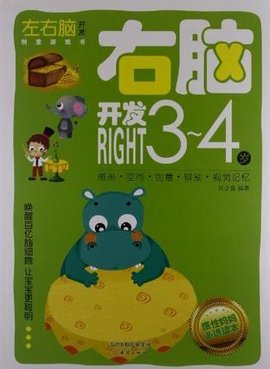 左右脑开发创意游戏书