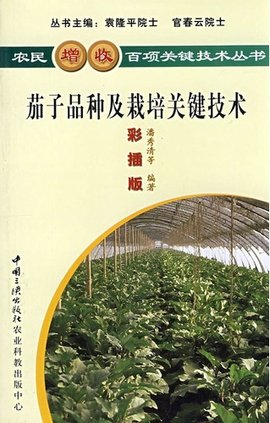 茄子品种及栽培关键技术