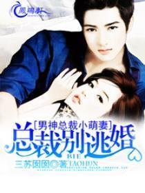 男神总裁小萌妻:总裁别逃婚
