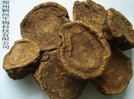 大黄提取物_360百科