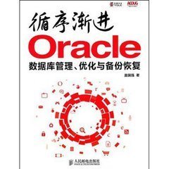 循序渐进Oracle:数据库管理,优化与备份恢复