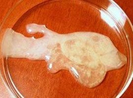 精子质量下降_360百科