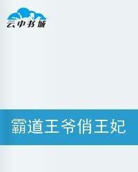 霸道王爷俏王妃