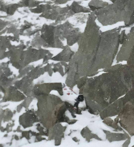 2·2四姑娘山违规攀登事故