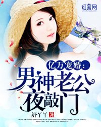 亿万宠婚:男神老公夜敲门