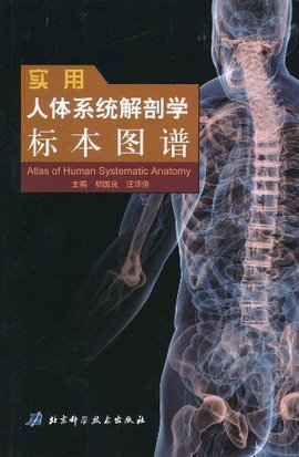 实用人体系统解剖学标本图谱_360百科