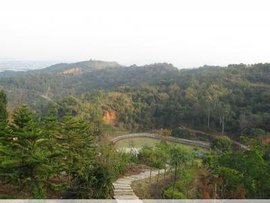 厦门万石岩紫云岩