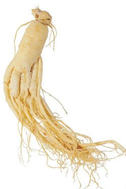 尚奈贝尔人参保湿按摩霜