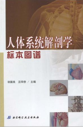 人体系统解剖学标本图谱