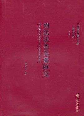 刑法法条关系研究