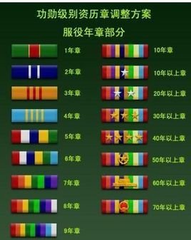 看军官最上面一排的正中间的略章,可以知道他的级别.