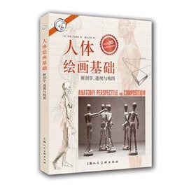 人体绘画基础-解剖学.透视与构图