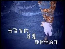 羞答答的玫瑰静悄悄地开