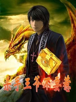 杀手王爷不要惹