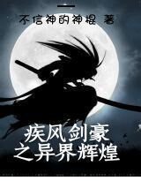 疾风剑豪之异界辉煌