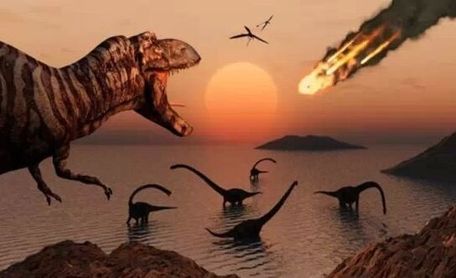 [地球生物进化史]人类进化史_超强翻页动画演