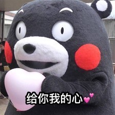 谁有熊本的动画,有得就发一下,就在下面发_表情包鞭炮放表情图片