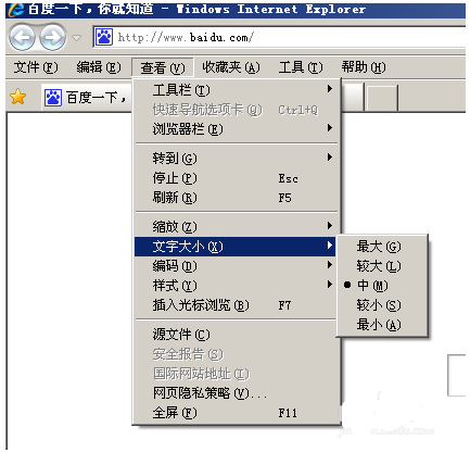 IE浏览器的 网页里的字体 粗细 的设置方法_36