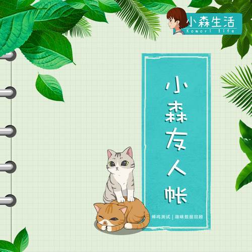 《小森生活》“小森友人帐”用数据说话