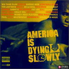 america is dying slowly
