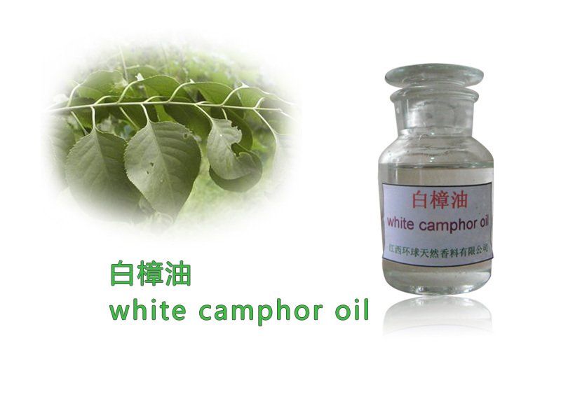 白樟油,英文别名 camphora oil; camphor oil braun