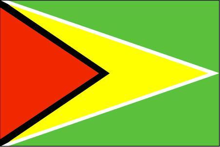 带白边的黄色三角形箭头在旗面上划分出两个相等对应的绿色三角形