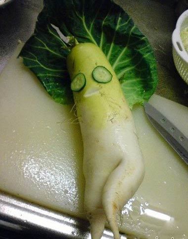 好销魂的白萝卜啊